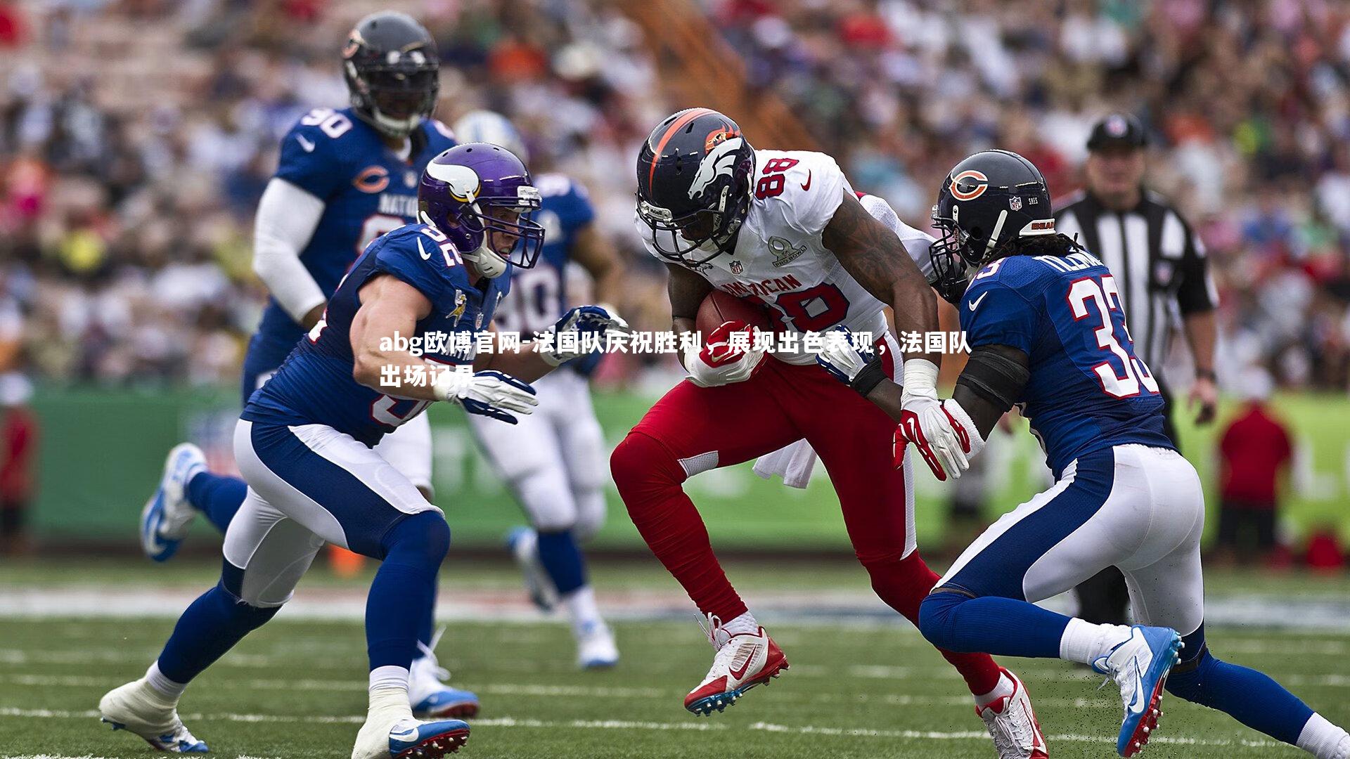 法国队庆祝胜利，展现出色表现，法国队出场记录