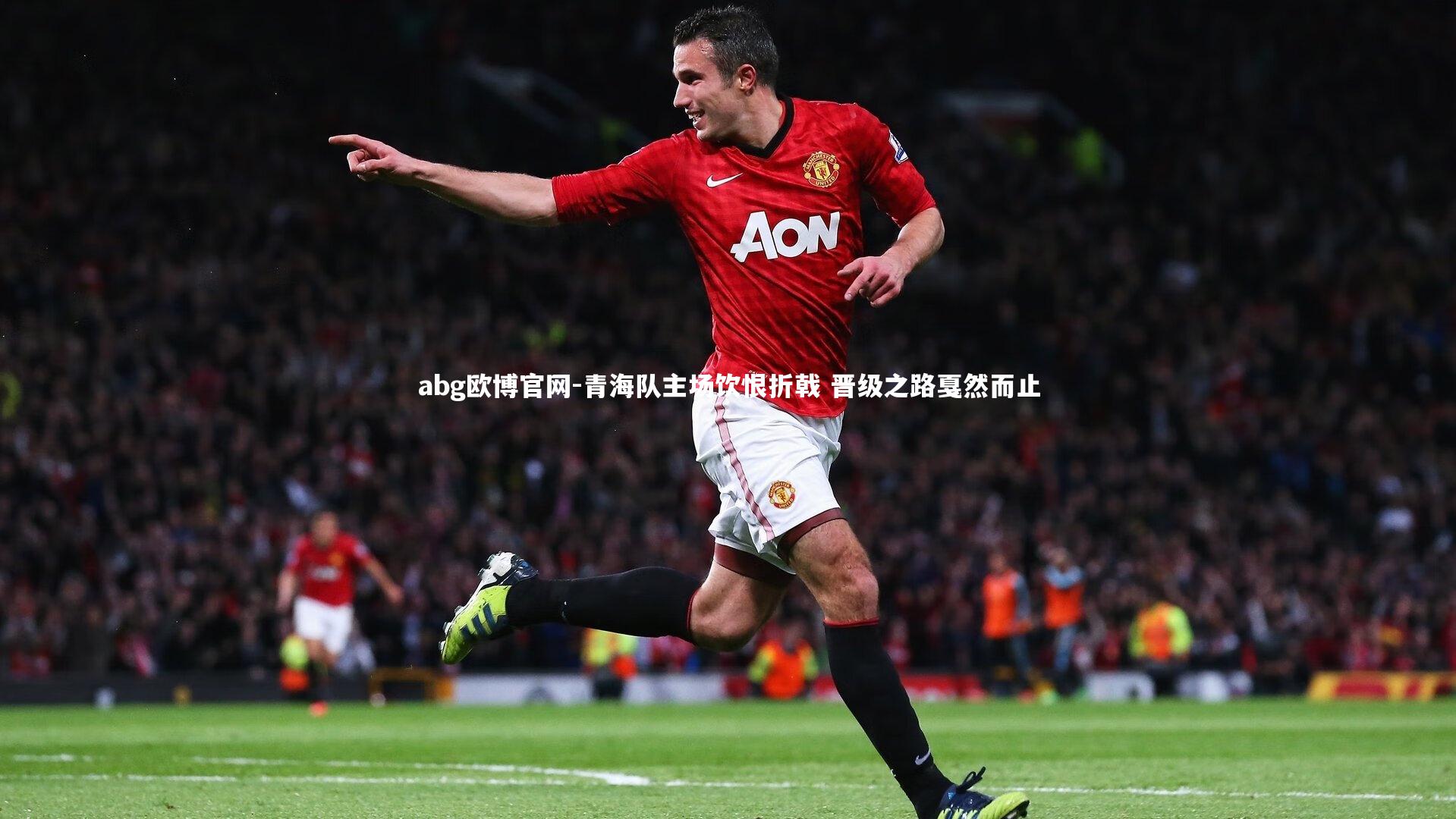 青海队主场饮恨折戟 晋级之路戛然而止