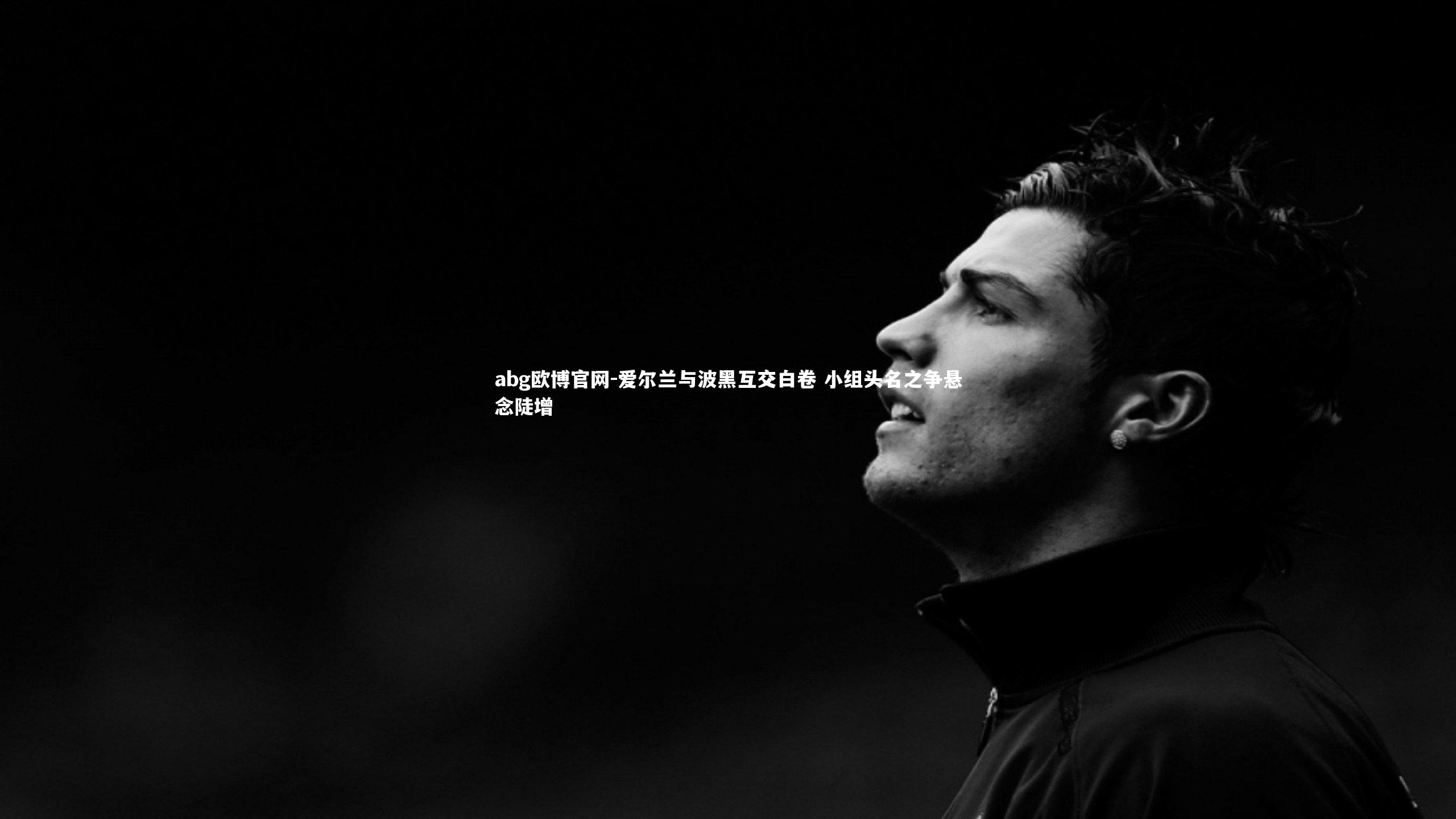 爱尔兰与波黑互交白卷 小组头名之争悬念陡增